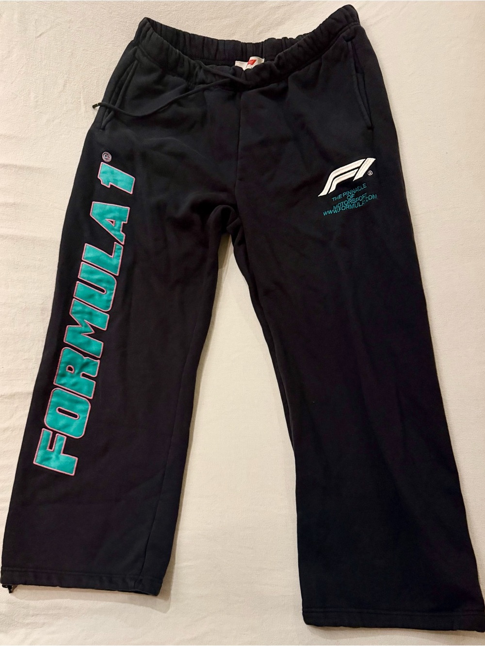 PacSun x Formula 1 F1 Racing Fleece Sweatpants Black Size L Teal & White